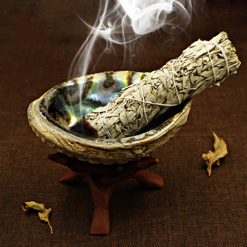 White Sage Smoked Accessories Shell Holy Wood Bracket Incense Burner