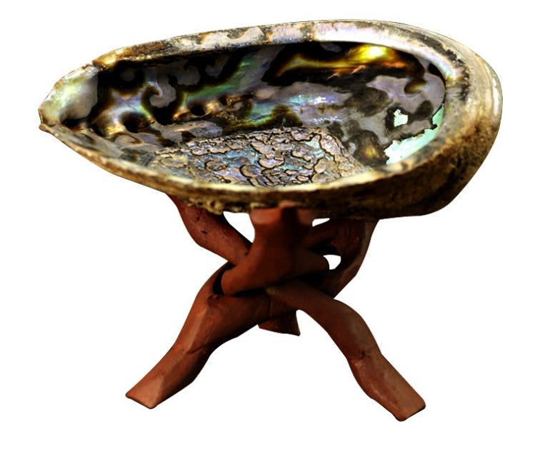 White Sage Smoked Accessories Shell Holy Wood Bracket Incense Burner
